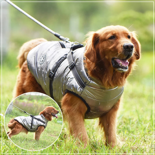 Winter Waterproof Dog Jacket with Harness
